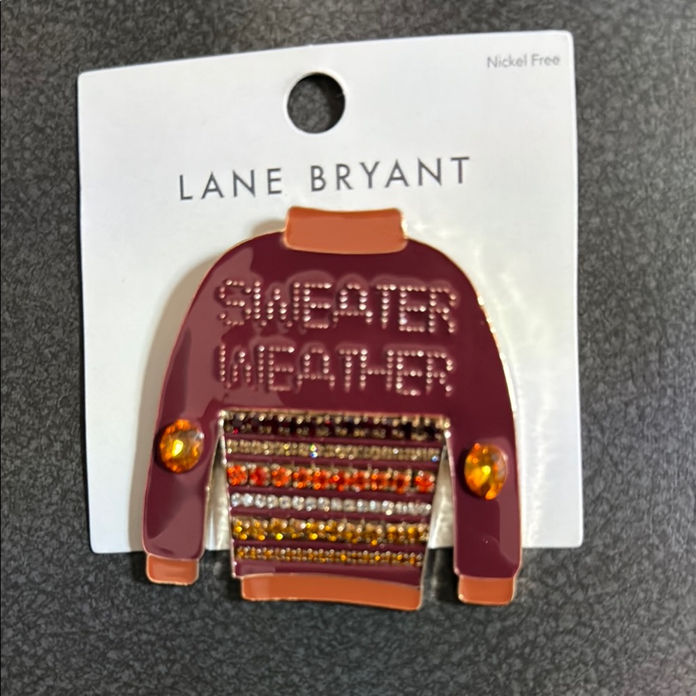 Lane Bryant Sweater Weather Brooch 20$